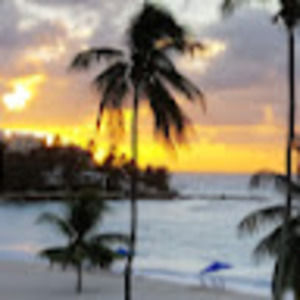 Meet your Posher, Peter